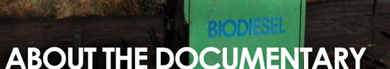 about_the_doc.jpg